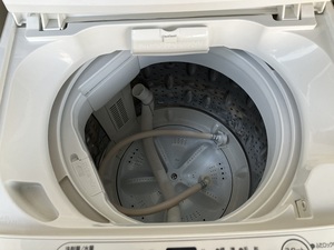 IMG_1643.jpg
